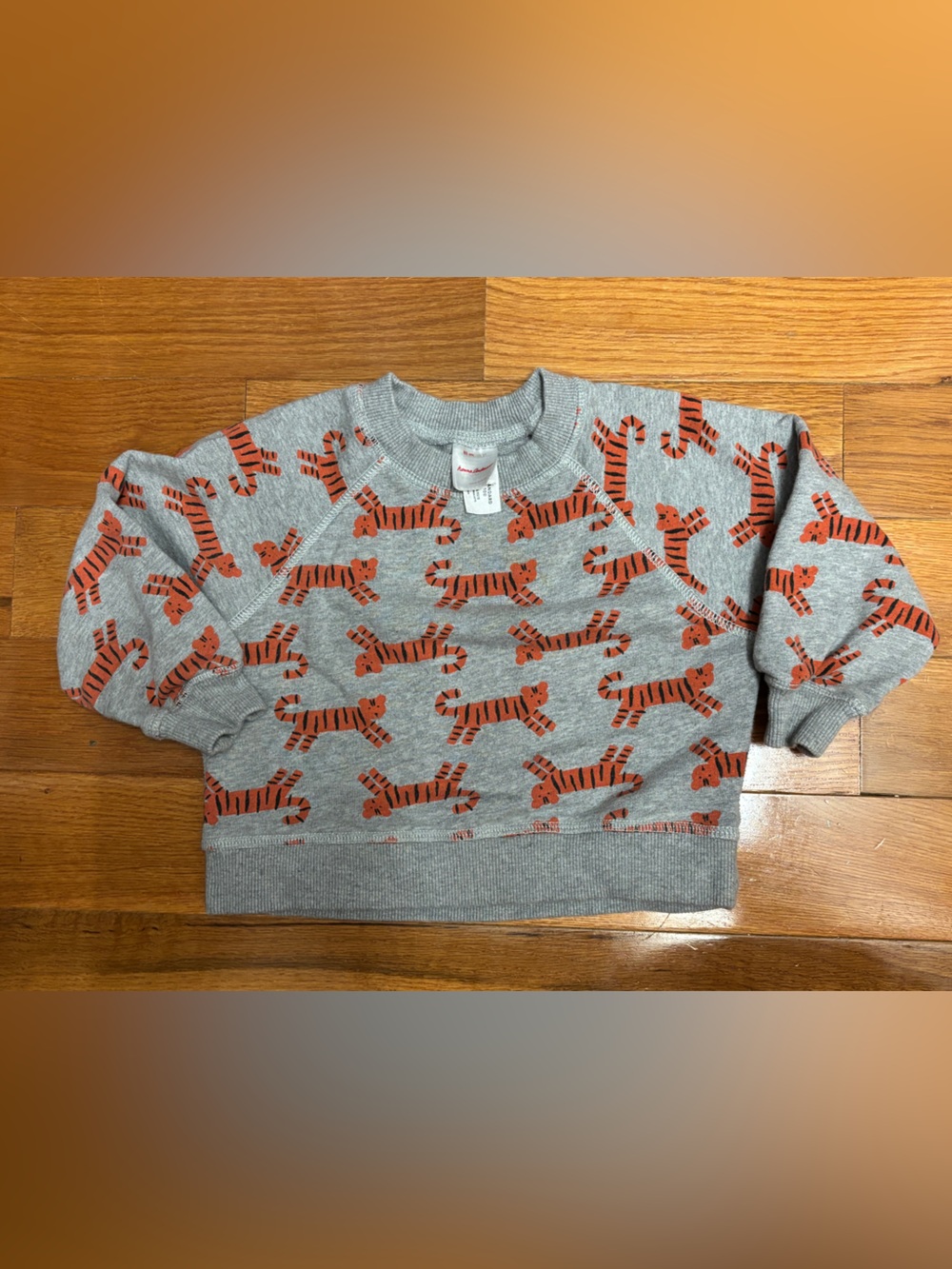 Hanna Andersson Grey Sweatshirt with Orange Tiger Pattern